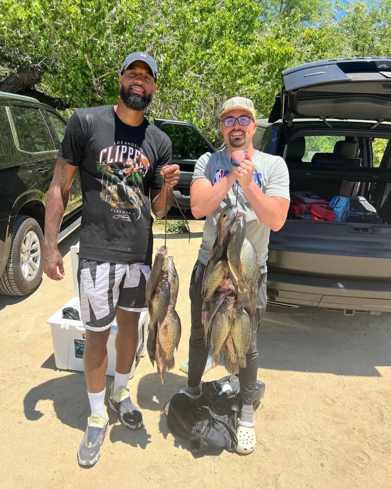 能会为国王 能会为国王