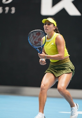 粉丝与公众 粉丝与公众