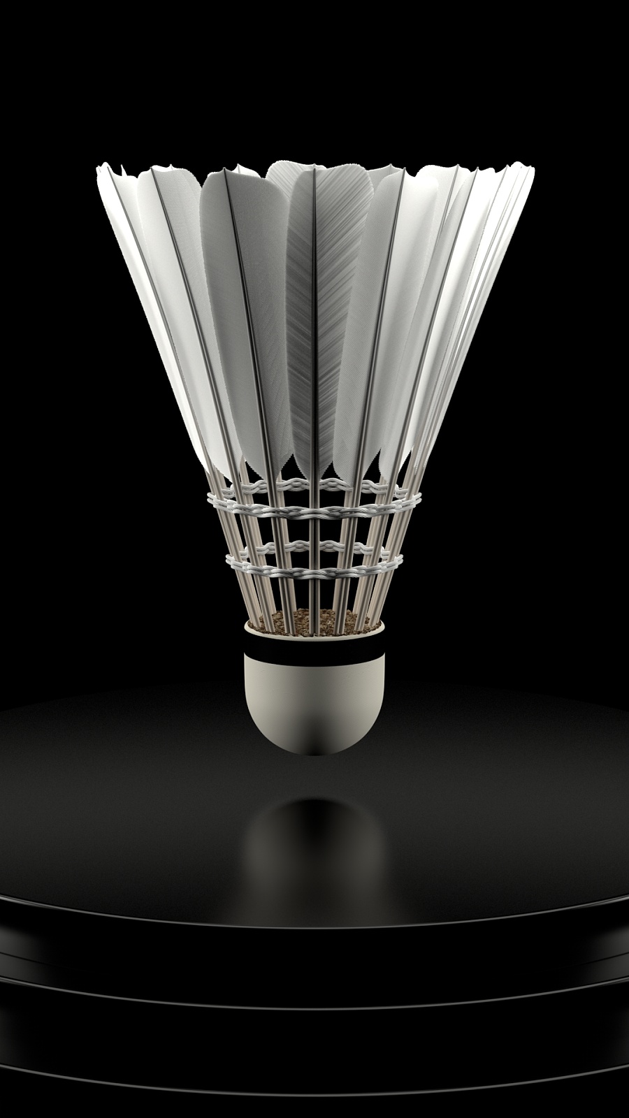 虽饱受争议 虽饱受争议