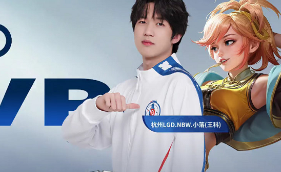 豪门的起伏 豪门的起伏